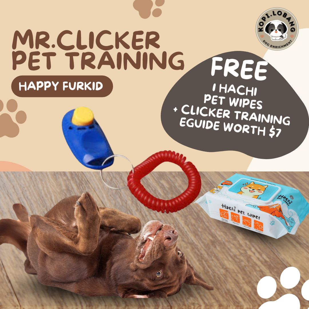 ✅[SG] MR. CLICKER PET TRAINING ★ Command & Obedience Training ★ FREE Clicker Dog Training e-Guide Worth $7★ SG Stock ★ Perfect for Gift