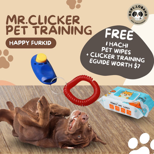✅[SG] MR. CLICKER PET TRAINING ★ Command & Obedience Training ★ FREE Clicker Dog Training e-Guide Worth $7★ SG Stock ★ Perfect for Gift