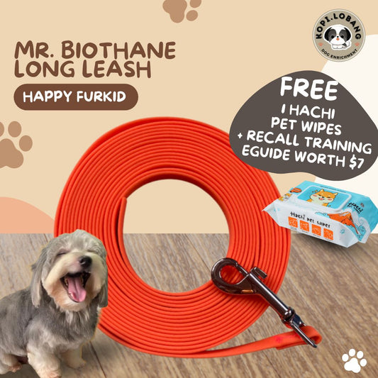 ✅[SG] MR. BIOTHANE LONG LEASH Waterproof 5 Metre & 10 Metre ★ Encourage Foraging Skills Training ★ FREE Recall Training e-Guide Worth $7 ★ For Dog Cat