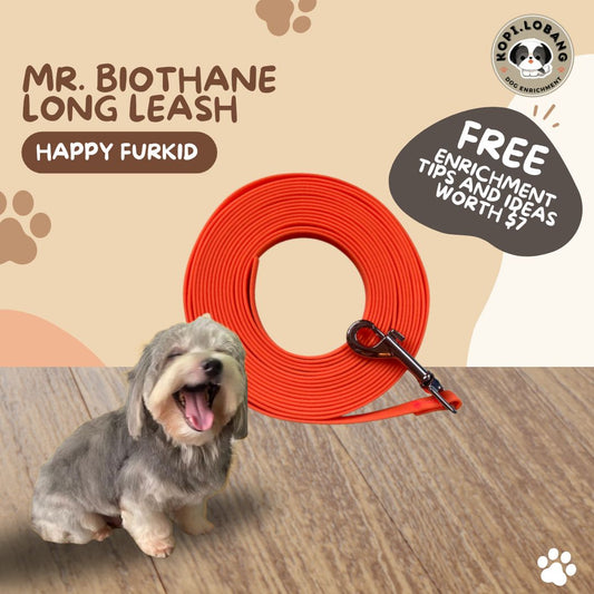 ✅[SG] MR. BIOTHANE LONG LEASH Waterproof 5 Metre & 10 Metre ★ Encourage Foraging Skills Training ★ FREE Recall Training e-Guide Worth $7 ★ For Dog Cat