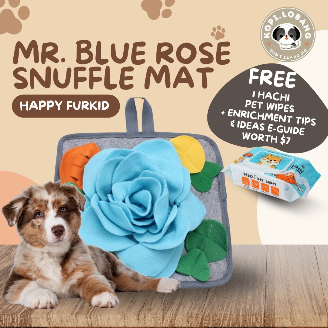 ✅[SG] MR. BLUE ROSE SNUFFLE MAT ★ Nosework Training ★ FREE Enrichment Tips & Ideas e-Guide Worth $7 ★ Pet Enrichment ★ SG Stock ★ Kopi Lobang