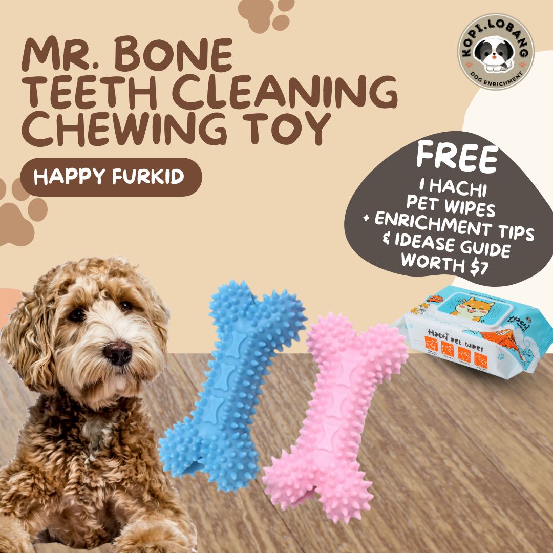✅[SG] MR. BONE TEETH CLEANING CHEWING TOY ★ Dental Hygiene Training ★ FREE Enrichment Tips & Ideas e-Guide Worth $7 ★ Enrichment ★ SG Stock ★ Kopi Lobang