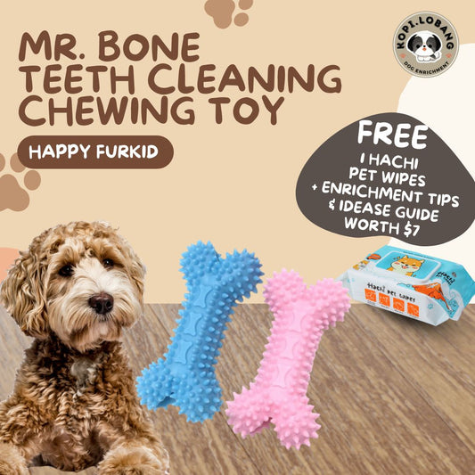 ✅[SG] MR. BONE TEETH CLEANING CHEWING TOY ★ Dental Hygiene Training ★ FREE Enrichment Tips & Ideas e-Guide Worth $7 ★ Enrichment ★ SG Stock ★ Kopi Lobang