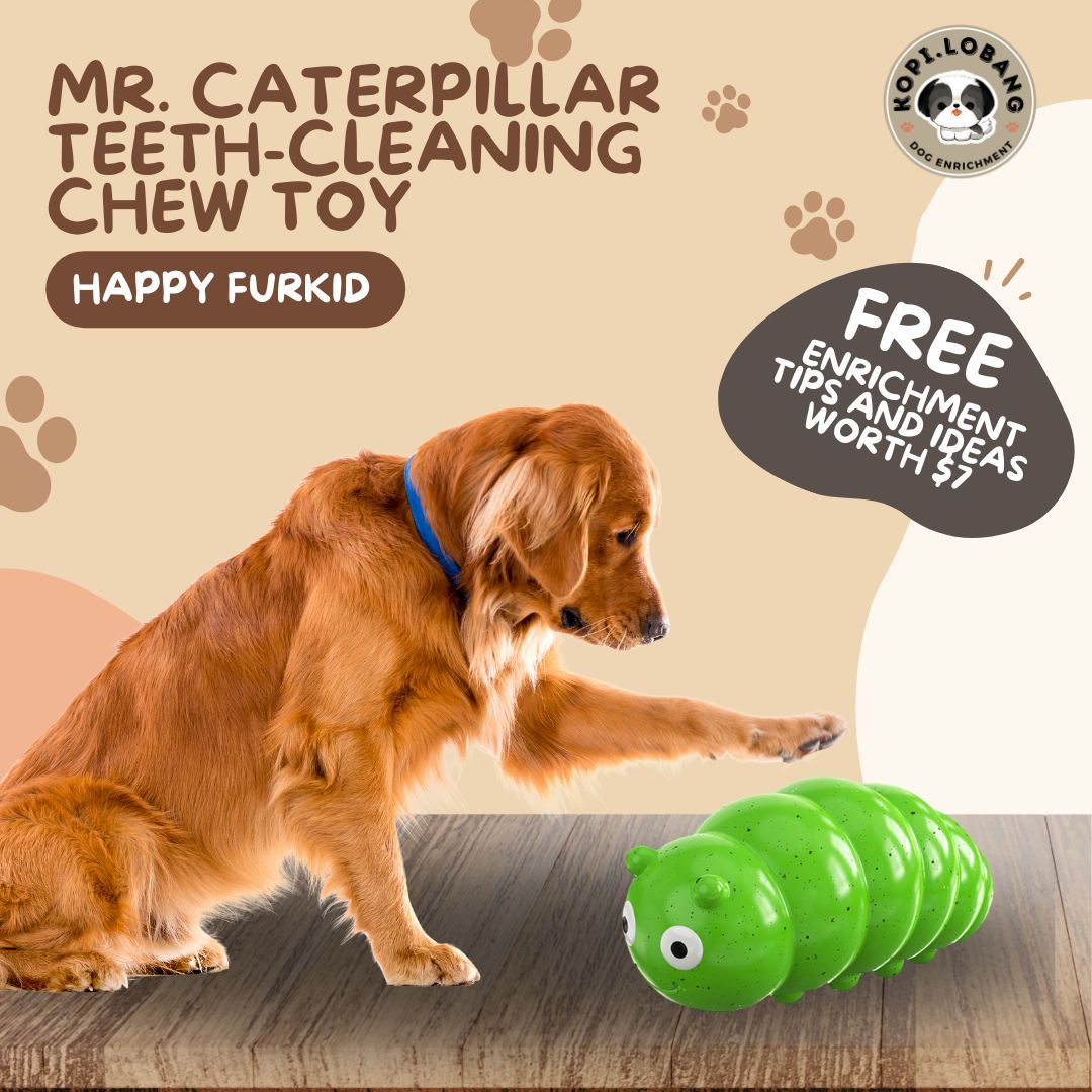 ✅[SG] MR. CATERPILLAR TEETH-CLEANING CHEW TOY ★ FREE Enrichment Tips & Ideas e-Guide Worth $7 ★ Pet Enrichment ★ SG Stock ★ Kopi Lobang