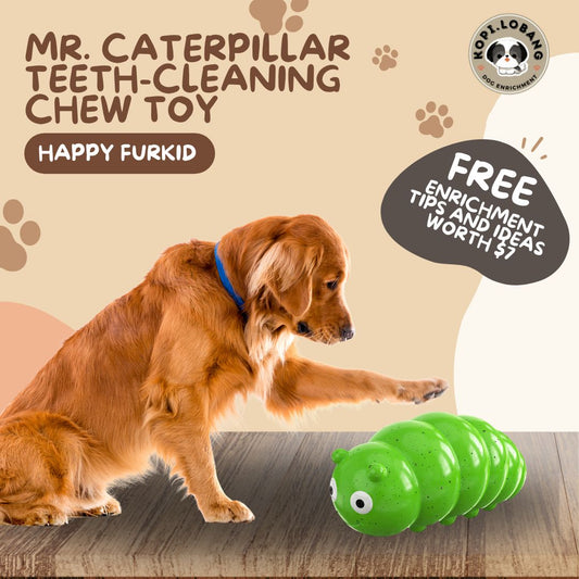 ✅[SG] MR. CATERPILLAR TEETH-CLEANING CHEW TOY ★ FREE Enrichment Tips & Ideas e-Guide Worth $7 ★ Pet Enrichment ★ SG Stock ★ Kopi Lobang
