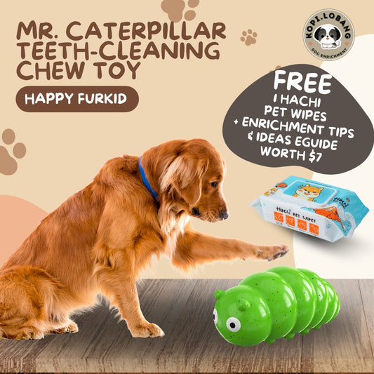 ✅[SG] MR. CATERPILLAR TEETH-CLEANING CHEW TOY ★ FREE Enrichment Tips & Ideas e-Guide Worth $7 ★ Pet Enrichment ★ SG Stock ★ Kopi Lobang