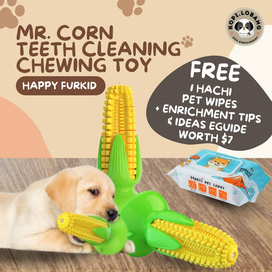 ✅[SG] MR. CORN TEETH CLEANING CHEWING TOY ★ Dental Hygiene Training ★ FREE Enrichment Tips & Ideas e-Guide Worth $7 ★ Enrichment ★ SG Stock ★ Kopi Lobang