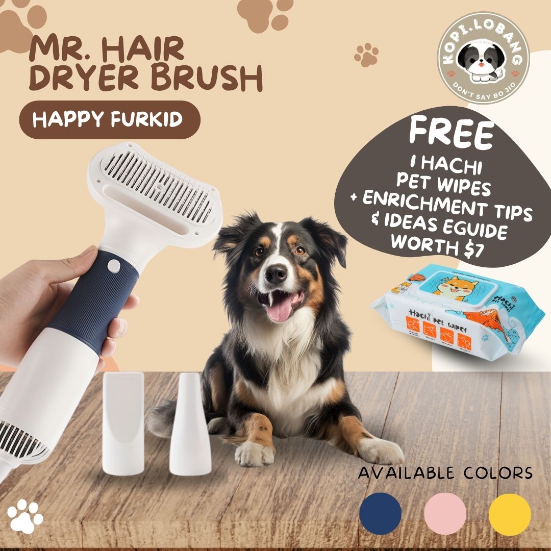 ✅[SG] MR. HAIR DRYER BRUSH ★ FOR DOG AND CAT FREE Enrichment Tips & Ideas e-Guide Worth $7 ★ Pet Enrichment ★ SG Stock ★ Kopi Lobang