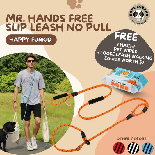 ✅[SG] MR. HANDS FREE SLIP LEASH NO-PULL 2.6 Metre ★ Loose Leash Walking & Training ★ FREE Loose Leash Walking e-Guide Worth $7