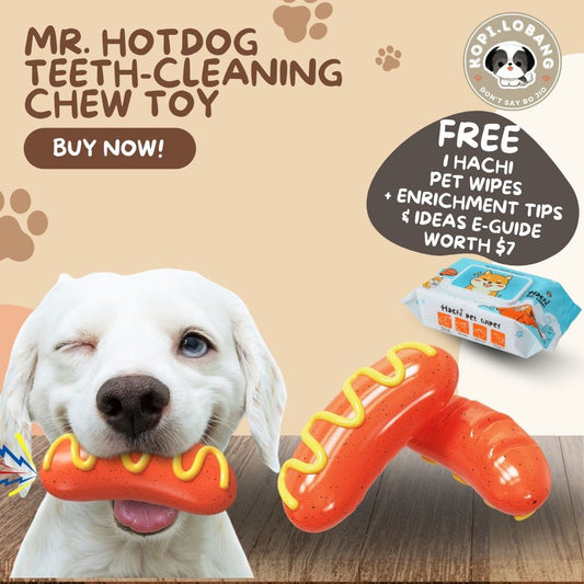 ✅[SG] MR. HOTDOG TEETH-CLEANING CHEW TOY ★ FREE Enrichment Tips & Ideas e-Guide Worth $7 ★ Pet Enrichment ★ SG Stock ★ Kopi Lobang