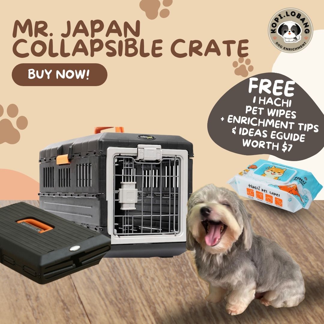 ✅[SG] MR. JAPAN COLLAPSIBLE CRATE FOR DOG AND CAT★ Crate Training ★ FREE Enrichment Tips & Ideas e-Guide Worth $7 ★ Enrichment ★ SG Stock ★ Kopi Lobang