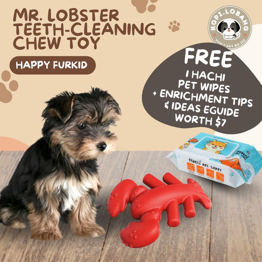 ✅[SG] MR. LOBSTER TEETH-CLEANING CHEW TOY ★ FREE Enrichment Tips & Ideas e-Guide Worth $7 ★ Pet Enrichment ★ SG Stock ★ Kopi Lobang