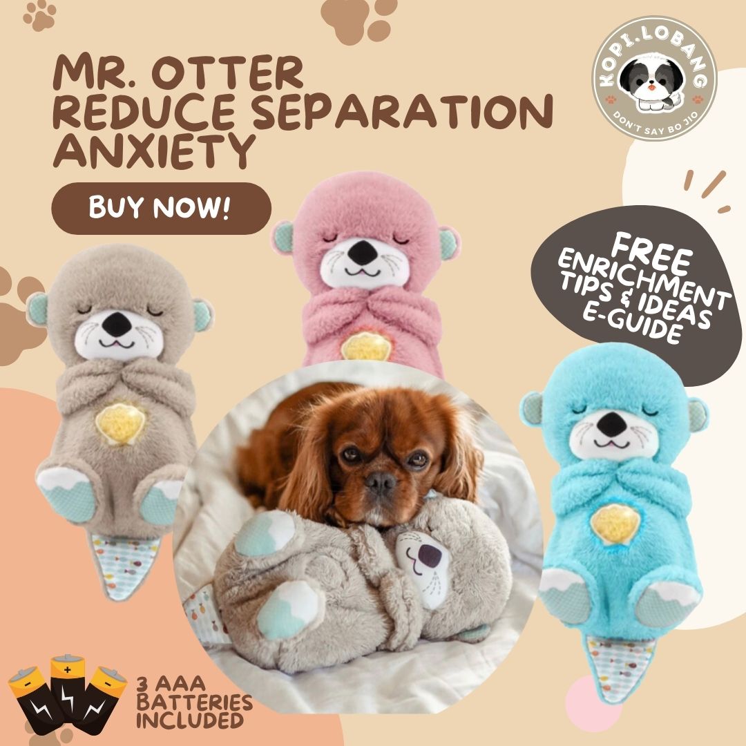 ✅[SG] MR OTTER SNUGGLE FOR DOG SEPARATION ANXIETY ★ FREE Separation Anxiety Training eGuide Worth $7 ★ Fast Shipping