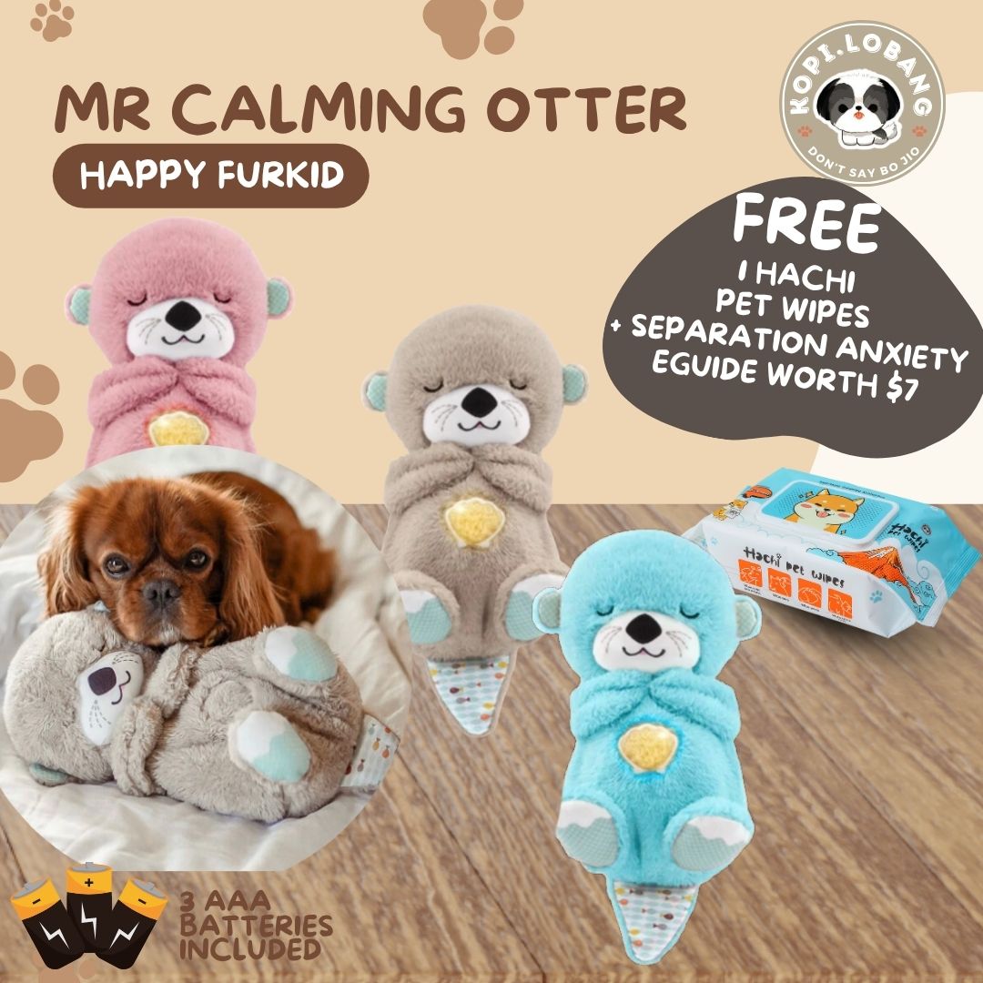 ✅[SG] NO MORE SEPARATION ANXIETY BUNDLE ★ FOR FEMALE DOGS ★ FREE e-Guides