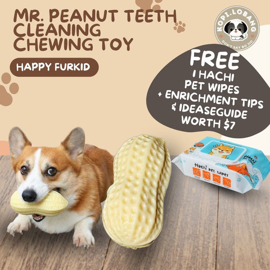 ✅[SG] MR. PEANUT TEETH CLEANING CHEWING TOY ★ Dental Hygiene Training ★ FREE Enrichment Tips & Ideas e-Guide Worth $7★ Enrichment ★ SG Stock ★ Kopi Lobang