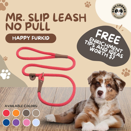 ✅[SG] MR. SLIP LEASH NO-PULL 5 Feet ★ Loose Leash Walking & Training ★ FREE Loose Leash Walking e-Guide Worth $7 ★ SG Stock ★ Kopi Lobang