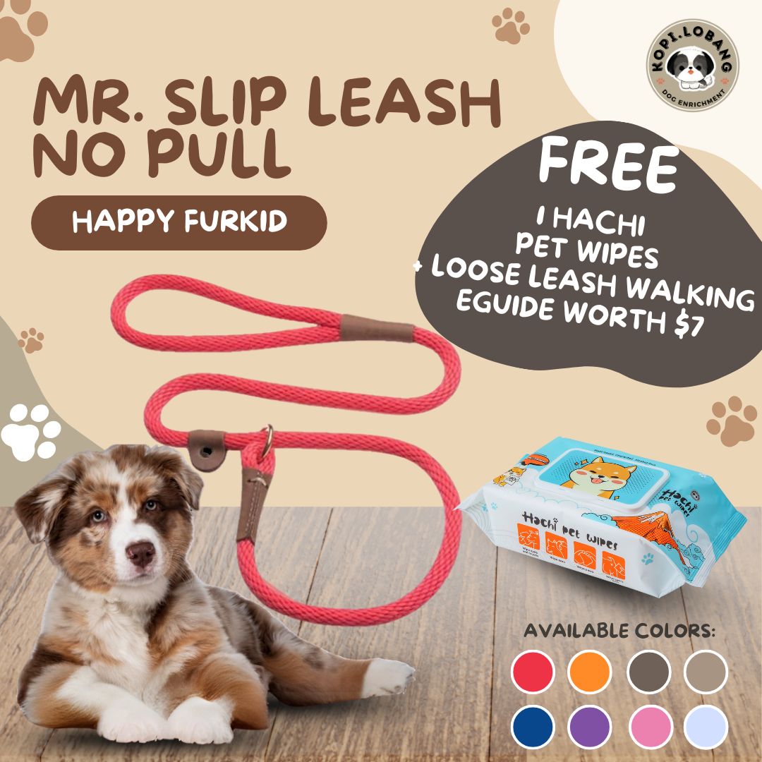 ✅[SG] MR. SLIP LEASH NO-PULL 5 Feet ★ Loose Leash Walking & Training ★ FREE Loose Leash Walking e-Guide Worth $7 ★ SG Stock ★ Kopi Lobang