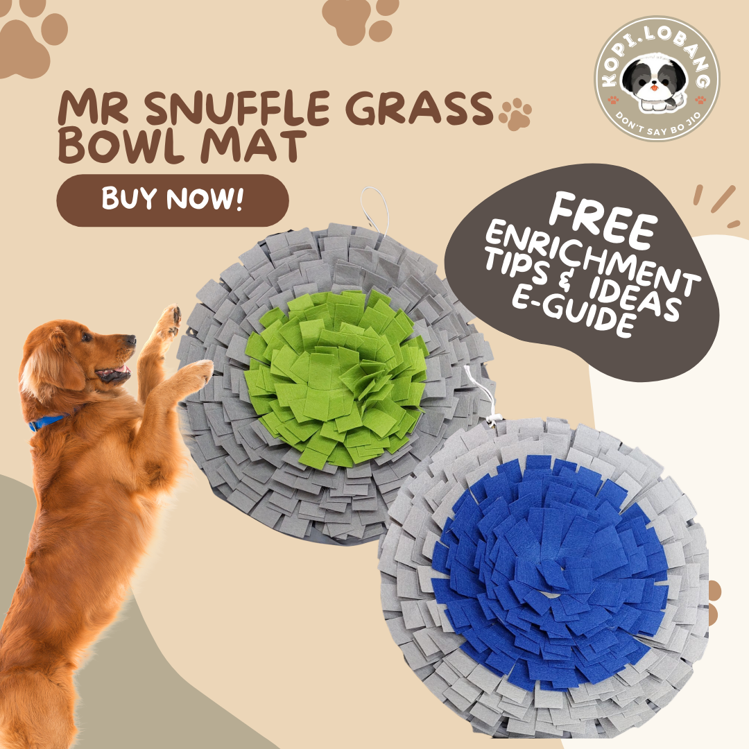 ✅[SG] MR. SNUFFLE GRASS BOWL MAT ★ Nosework Training ★ FREE Enrichment Tips & Ideas e-Guide  Worth $7  ★ Enrichment ★ SG Stock ★ Kopi Lobang