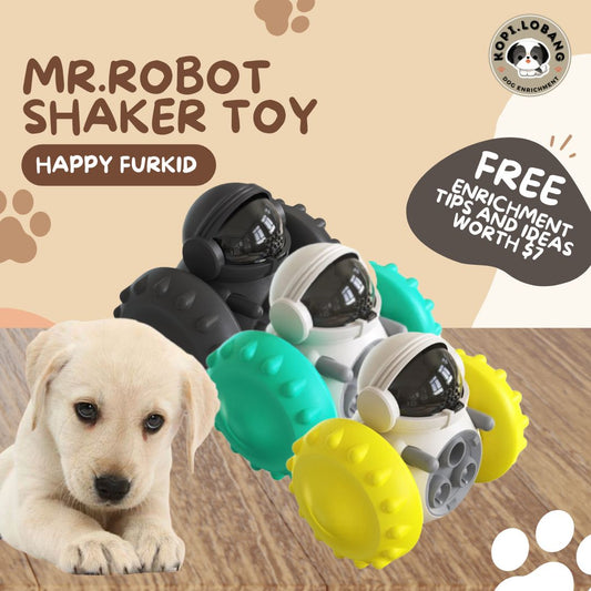 ✅[SG] MR. ROBOT SLOW FEEDER FOOD DISPENSER ★ Behavior Modification Training ★ FREE Enrichment Tips & Ideas e-Guide Worth $7★ Enrichment ★ SG Stock ★ Kopi Lobang