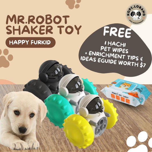 ✅[SG] MR. ROBOT SLOW FEEDER FOOD DISPENSER ★ Behavior Modification Training ★ FREE Enrichment Tips & Ideas e-Guide Worth $7★ Enrichment ★ SG Stock ★ Kopi Lobang