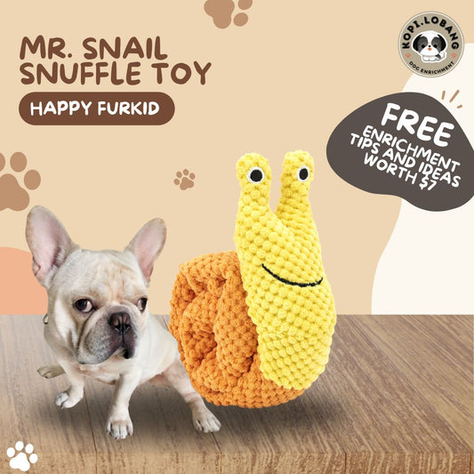 ✅[SG] MR. SNAIL SNUFFLE TOY ★ Nosework Training ★ FREE Enrichment Tips & Ideas e-Guide Worth $7 ★ Pet Enrichment ★ SG Stock ★ Kopi Lobang