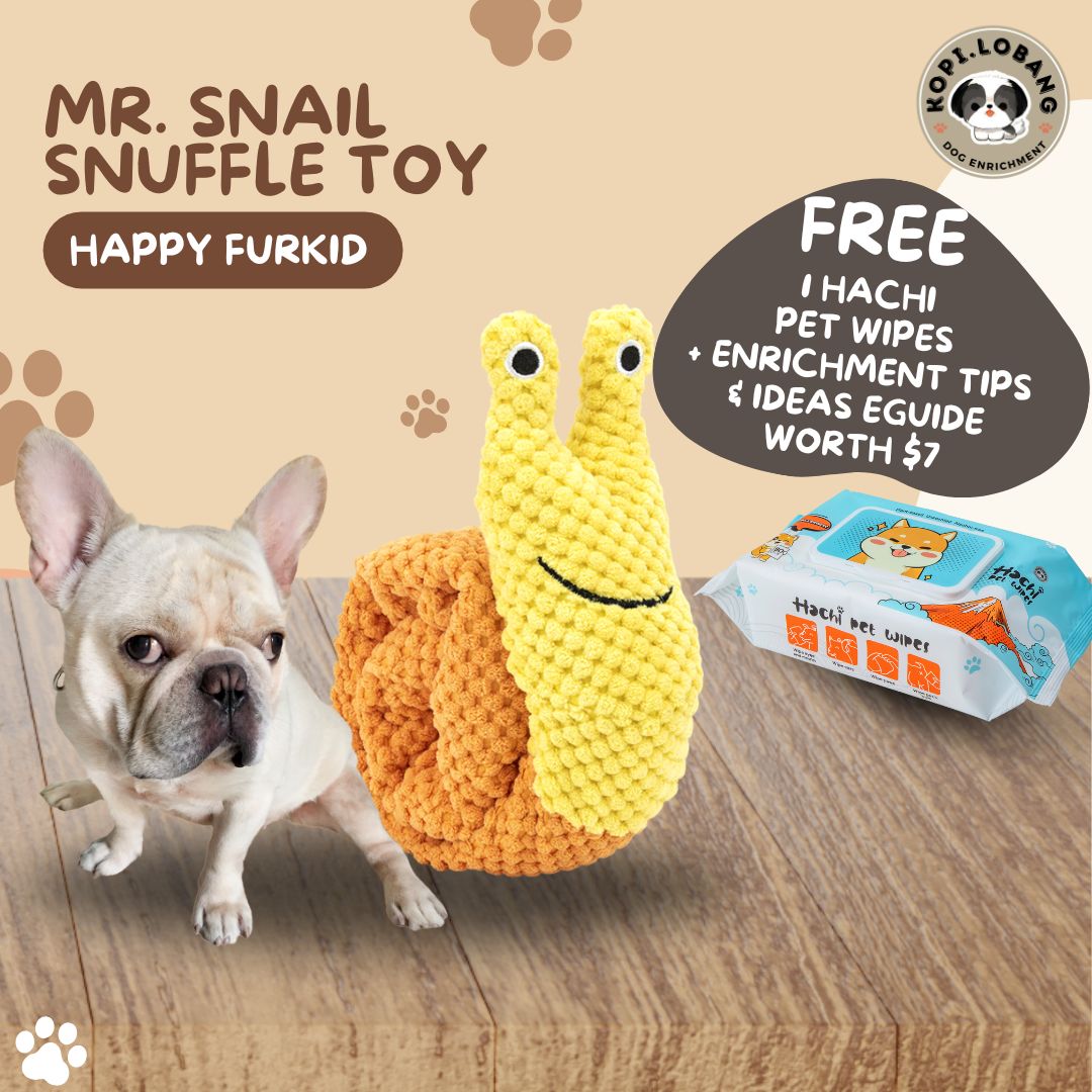 ✅[SG] MR. SNAIL SNUFFLE TOY ★ Nosework Training ★ FREE Enrichment Tips & Ideas e-Guide Worth $7 ★ Pet Enrichment ★ SG Stock ★ Kopi Lobang