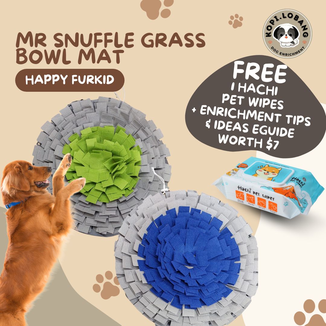 ✅[SG] MR. SNUFFLE GRASS BOWL MAT ★ Nosework Training ★ FREE Enrichment Tips & Ideas e-Guide  Worth $7  ★ Enrichment ★ SG Stock ★ Kopi Lobang