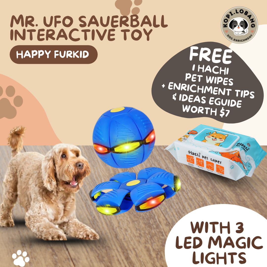 ✅[SG] MR. UFO SAUCER BALL INTERACTIVE TOY WITH 3 LED MAGIC LIGHTS ★ Trick Training ★ FREE Enrichment Tips & Ideas e-Guide  Worth $7 ★ Enrichment ★ SG Stock ★ Kopi Lobang