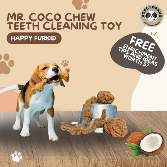✅[SG] MR COCO CHEW TEETH CLEANING ★ Dental Hygiene Training ★ FREE Enrichment Tips & Ideas e-Guide Worth $7 ★ Enrichment ★ SG Stock ★ Kopi Lobang