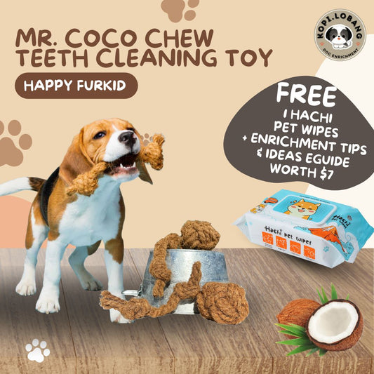 ✅[SG] MR COCO CHEW TEETH CLEANING ★ Dental Hygiene Training ★ FREE Enrichment Tips & Ideas e-Guide Worth $7 ★ Enrichment ★ SG Stock ★ Kopi Lobang