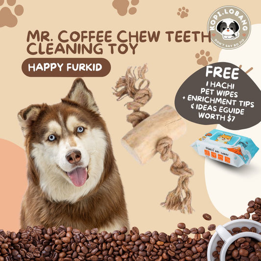 ✅[SG] MR. COFFEE CHEW TEETH CLEANING TOY ★ Dental Hygiene Training ★  FREE Enrichment Tips & Ideas e-Guide Worth $7 ★ Enrichment ★ SG Stock 
