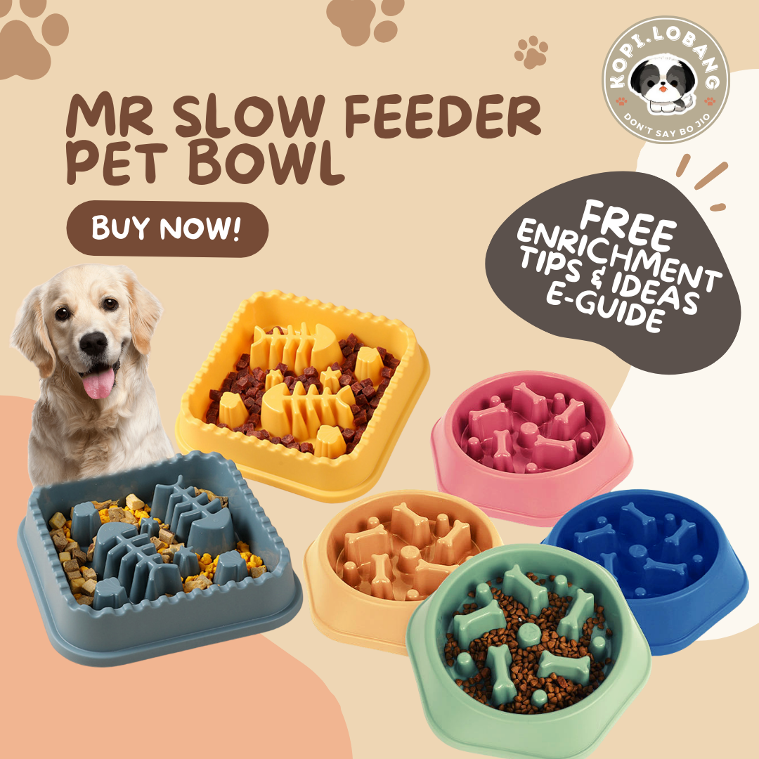 ✅[SG] [FAST SHIPPING] MR SLOW FEEDER PET BOWL ★ FREE Enrichment Tips & Ideas e-Guide  Worth $7 ★ For Dog Cat