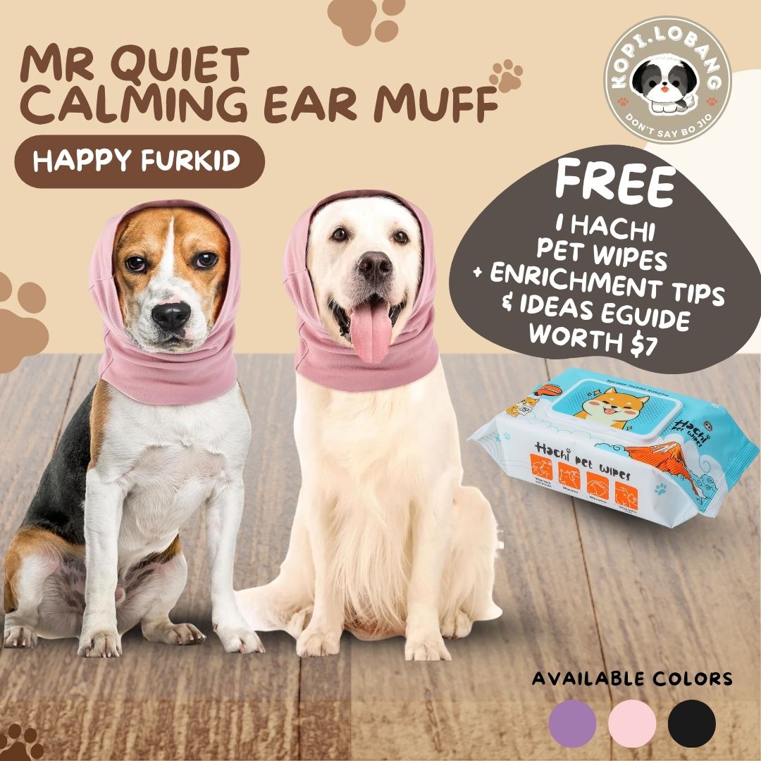 ✅[SG] Mr Quiet Calming Ear Muff ★ FREE Enrichment Tips & Ideas e-Guide Worth $7 ★ Enrichment ★ SG Stock ★ Kopi Lobang