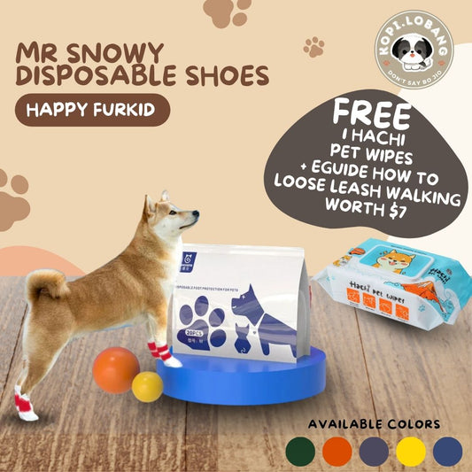 ✅[SG] MR SNOWY DISPOSABLE SHOES ★  FREE E-GUIDE HOW TO LOOSE LEASH WALKING ★ Enrichment ★ SG Stock ★ Kopi Lobang