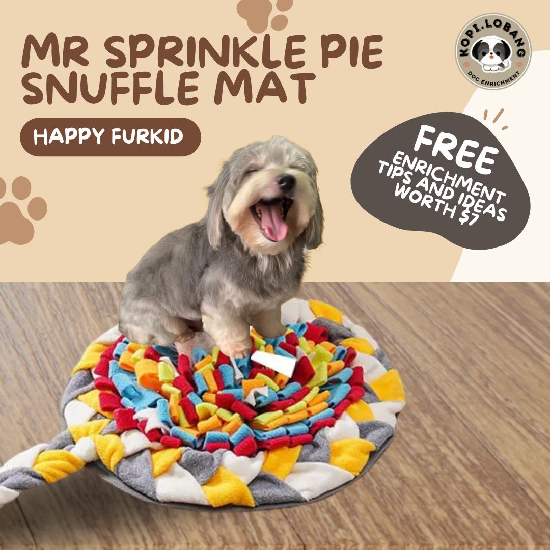 ✅[SG] MR SPRINKLE PIE SNUFFLE MAT ★ Nosework Training ★ FREE Enrichment Tips & Ideas e-Guide Worth $7 ★ Pet Enrichment ★ SG Stock ★ Kopi Lobang