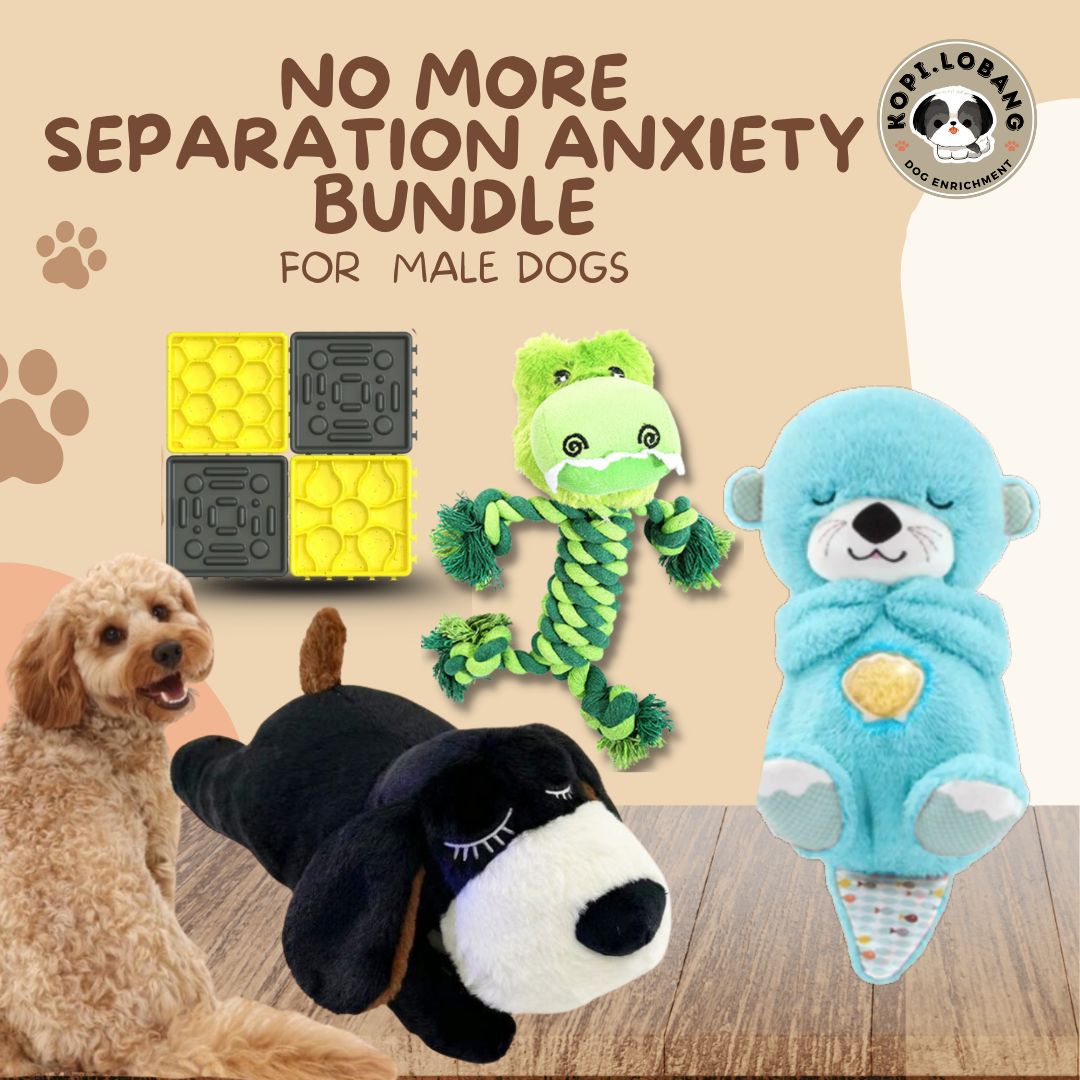 ✅[SG] NO MORE SEPARATION ANXIETY BUNDLE ★ FOR MALE DOGS ★ FREE e-Guides (Copy)
