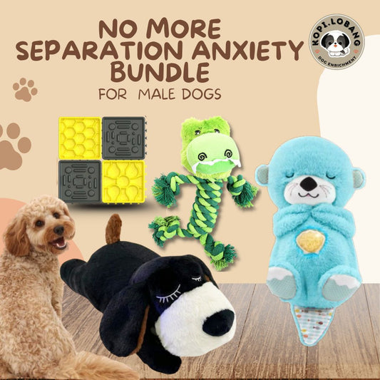 ✅[SG] NO MORE SEPARATION ANXIETY BUNDLE ★ FOR MALE DOGS ★ FREE e-Guides (Copy)