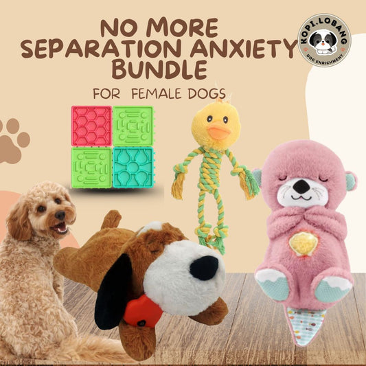 ✅[SG] NO MORE SEPARATION ANXIETY BUNDLE ★ FOR FEMALE DOGS ★ FREE e-Guides