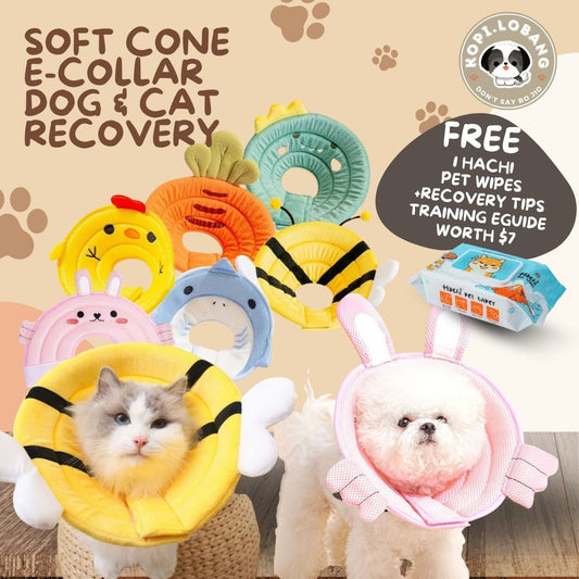 ✅[SG] [FAST] SOFT CONE E-COLLAR DOG & CAT RECOVERY ★ FREE e-Guide on 5 Important Tips for Fast Pet Recovery ★