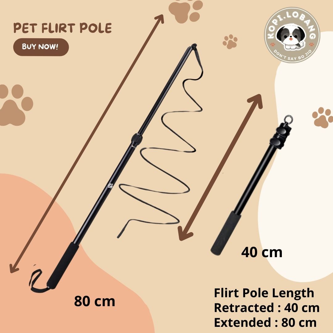 ✅[SG] DOG FLIRT POLE ★ Agility Training ★ FREE Enrichment Toy Tips and Ideas e-Guide Worth $7 ★ SG Stock ★ Perfect for Gift