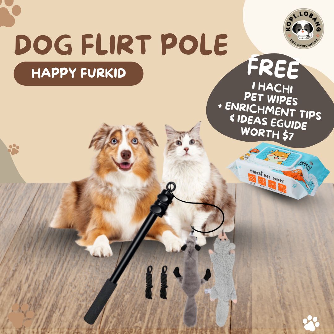 ✅[SG] DOG FLIRT POLE ★ Agility Training ★ FREE Enrichment Toy Tips and Ideas e-Guide Worth $7 ★ SG Stock ★ Perfect for Gift