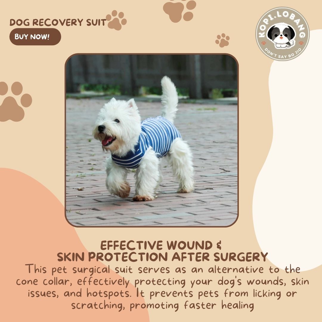 ✅[SG] Pet Recovery Suit for Dogs & Cats – Comfortable E-Collar Alternative