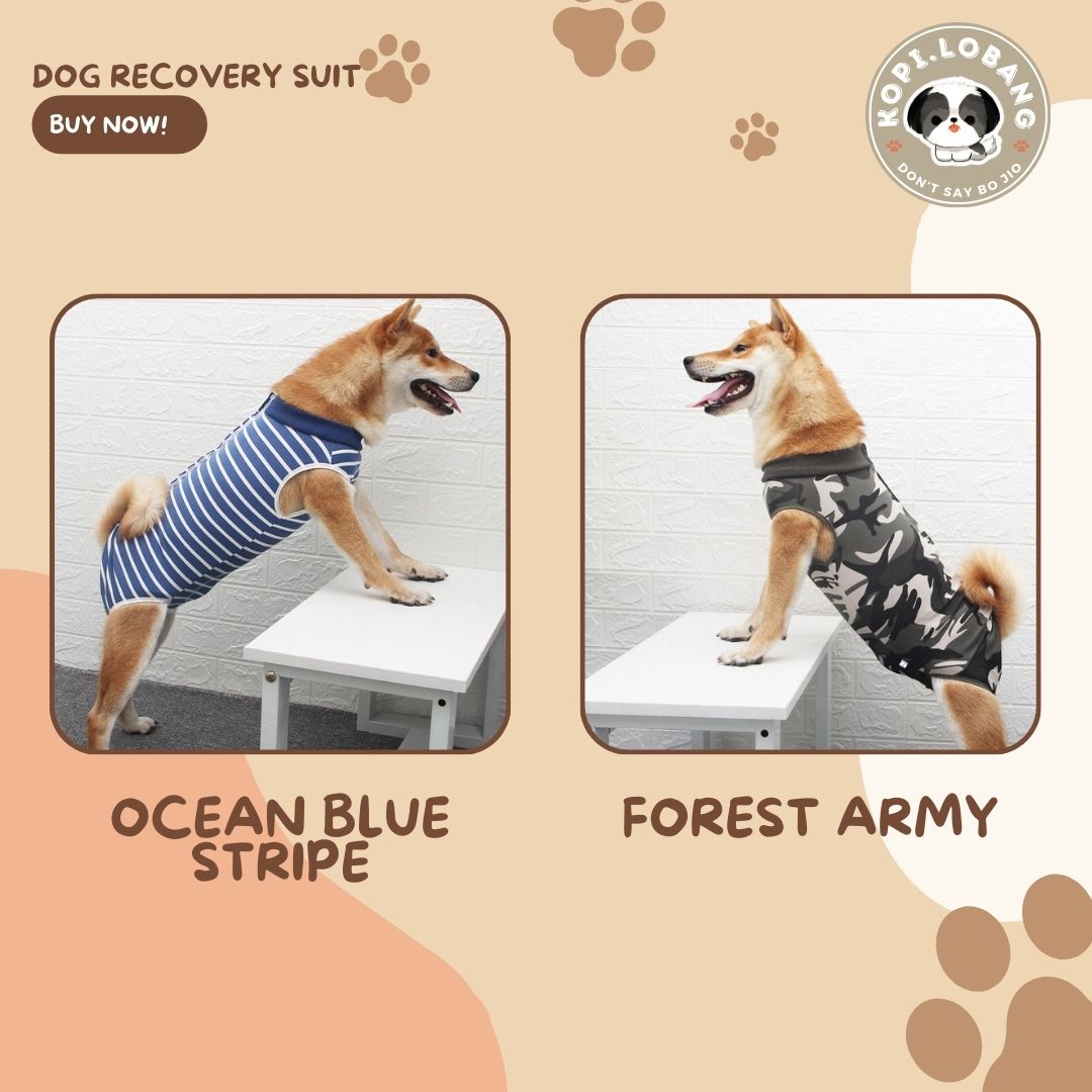 ✅[SG] Pet Recovery Suit for Dogs & Cats – Comfortable E-Collar Alternative