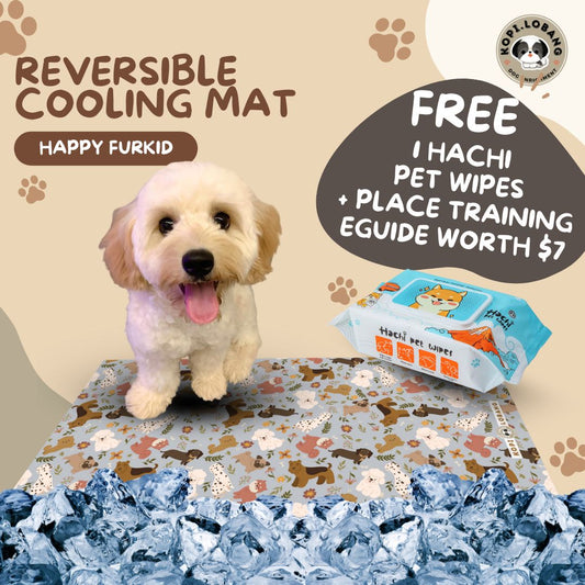 ✅[SG] Reversible Pet Cooling Mat / Pad For Dogs and Cats ★ FREE "Place" Training e-Guide  Worth $7 ★ Unique Design ★ SG Stock ★ For Dogs and Cats ★ Perfect for Gift
