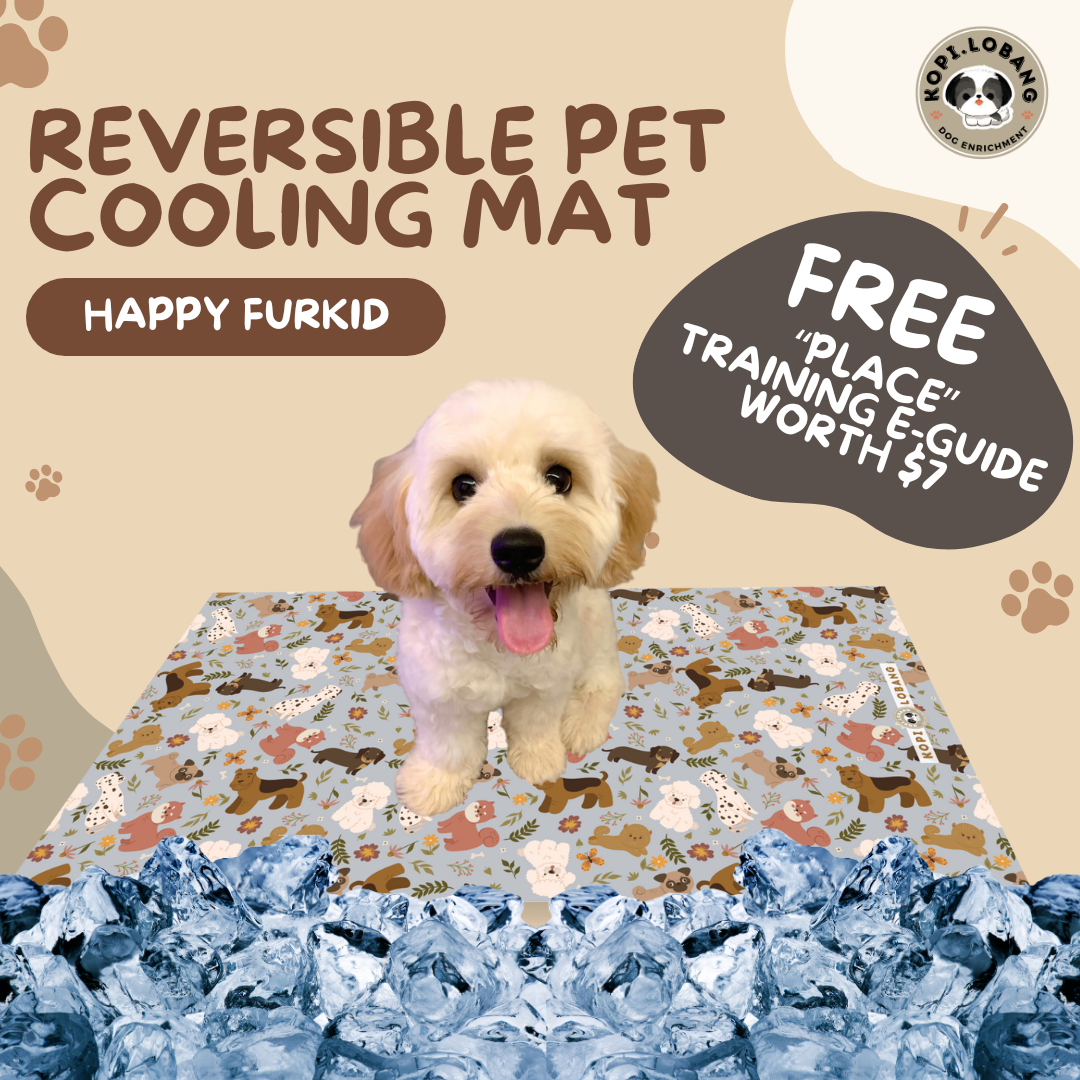 ✅[SG] Reversible Pet Cooling Mat / Pad For Dogs and Cats ★ FREE "Place" Training e-Guide  Worth $7 ★ Unique Design ★ SG Stock ★ For Dogs and Cats ★ Perfect for Gift