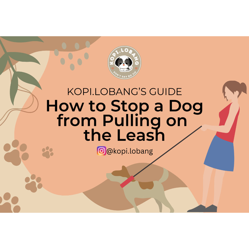 ✅[SG] Dog Loose Leash Walking Training e-Guide by Kopi.Lobang ★ Perfect for Gift ★