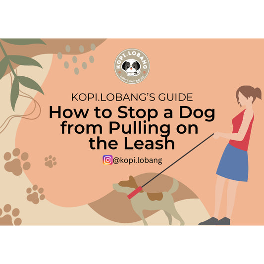 ✅[SG] Dog Loose Leash Walking Training e-Guide by Kopi.Lobang ★ Perfect for Gift ★