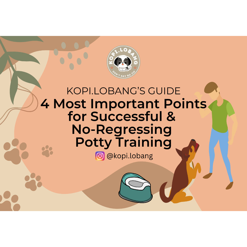 ✅[SG] Dog Potty Training e-Guide by Kopi.Lobang ★ Perfect for Gift ★