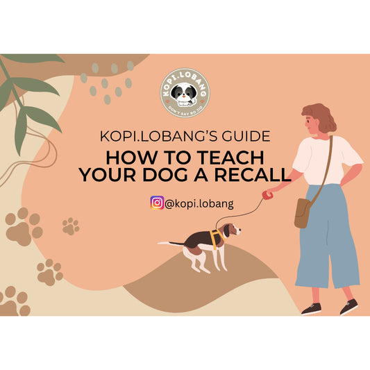 ✅[SG] How to Teach Your Dog A Recall e-Guide by Kopi.Lobang ★ Perfect for Gift ★