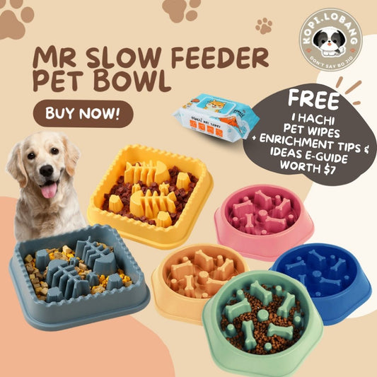 ✅[SG] [FAST SHIPPING] MR SLOW FEEDER PET BOWL ★ FREE Enrichment Tips & Ideas e-Guide  Worth $7 ★ For Dog Cat